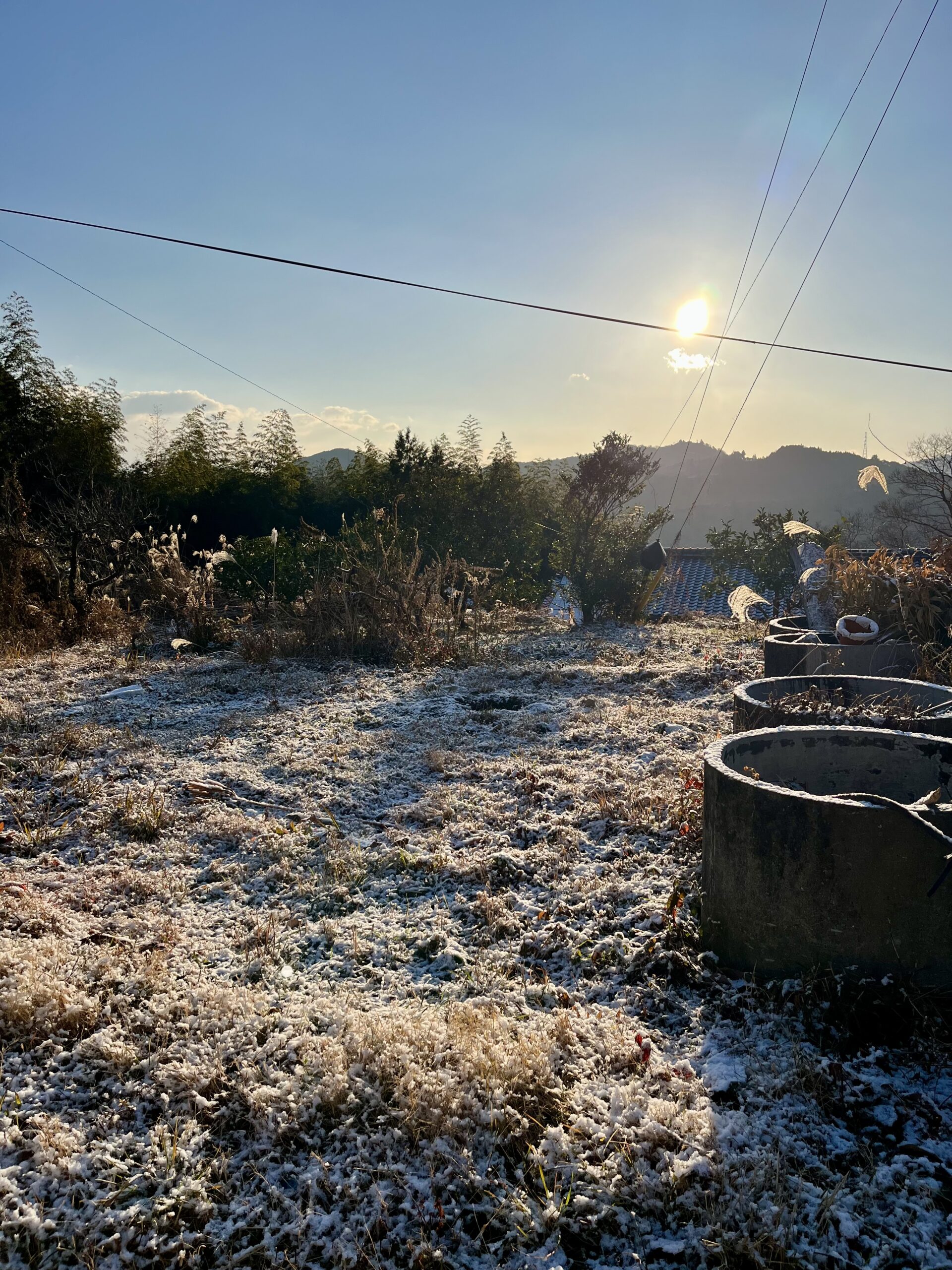 高知県は日高村、お山は雪景色です！