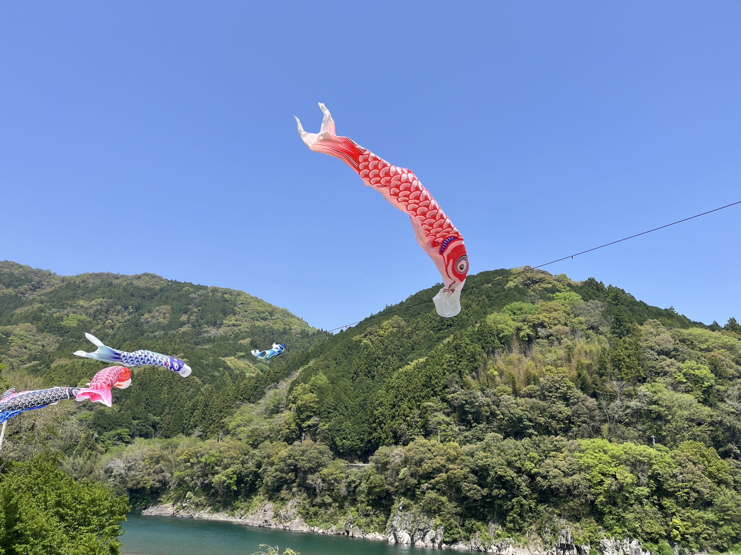 〜ミライエさん〜高知県日高村にある仁淀川沿いの集落活動センター🏞️🐗🍅高知県日高村「日高みよし農園」