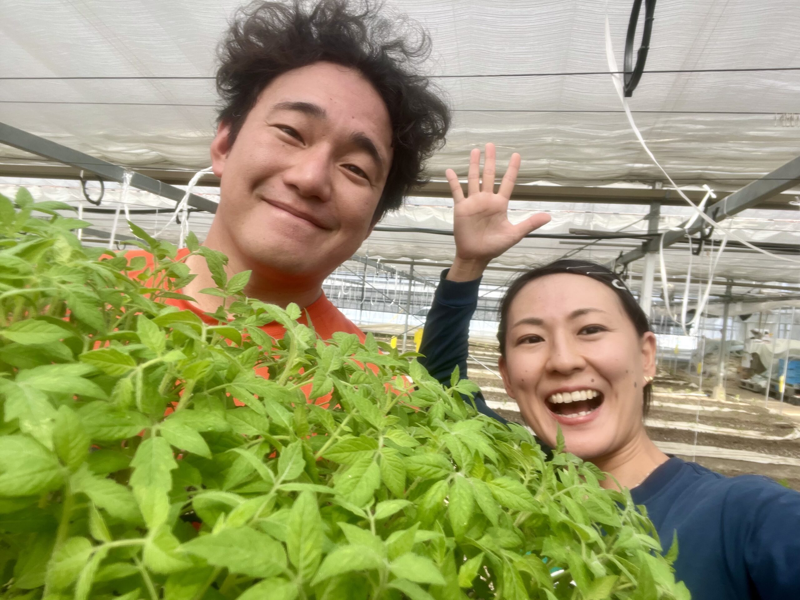 5thシーズン開始です！高知県日高村「日高みよし農園」