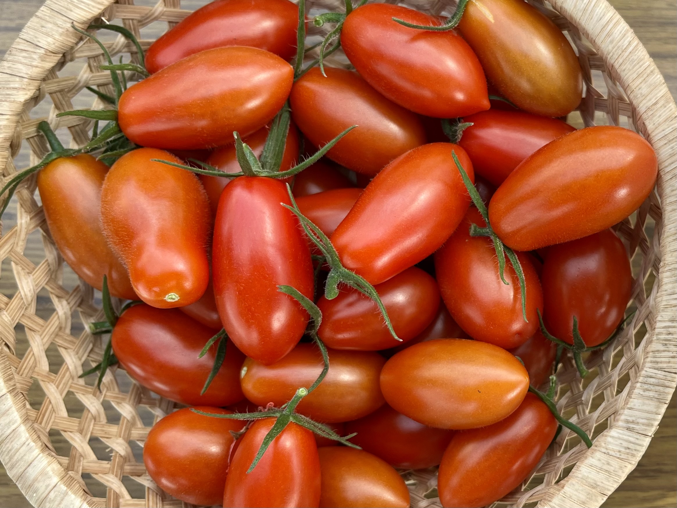 フルーツミニトマト始めます🍅 高知県日高村「日高みよし農園」