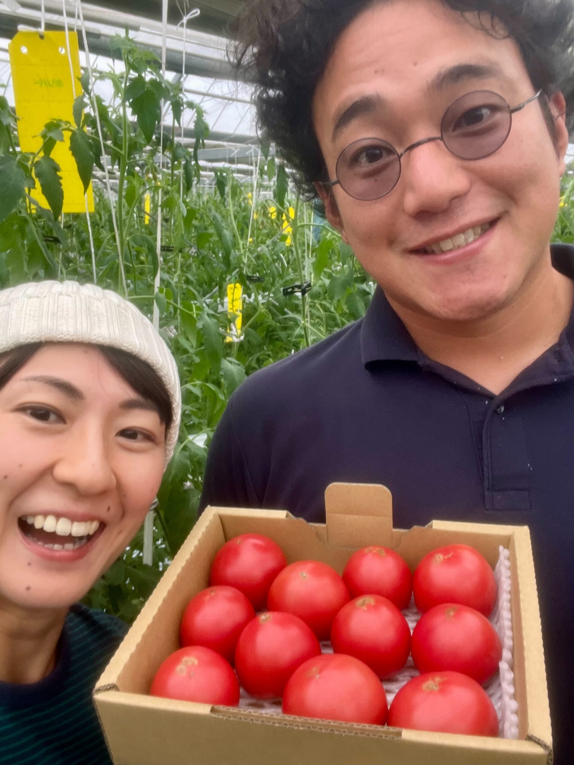 ECサイトでの販売を開始しました！高知県日高村より。