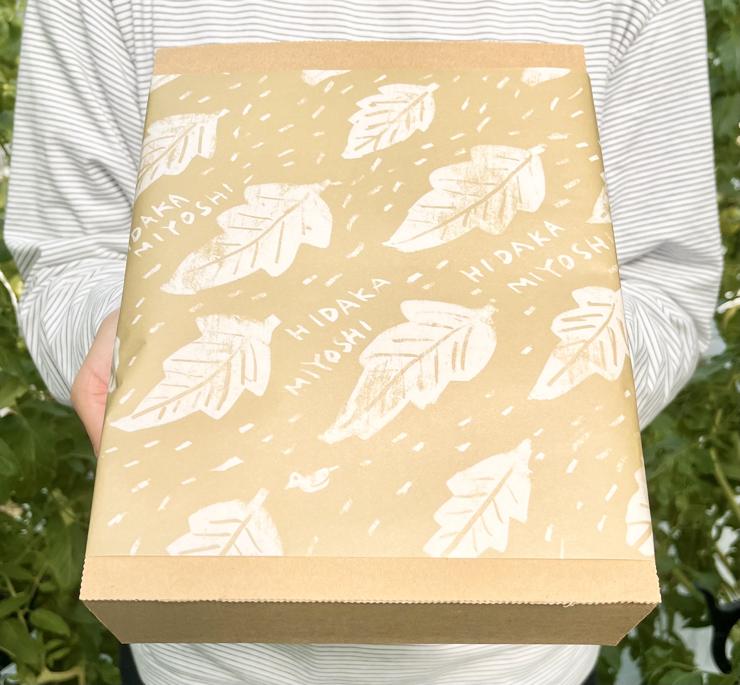 梱包資材のご紹介！高知県日高村＊日高みよし農園